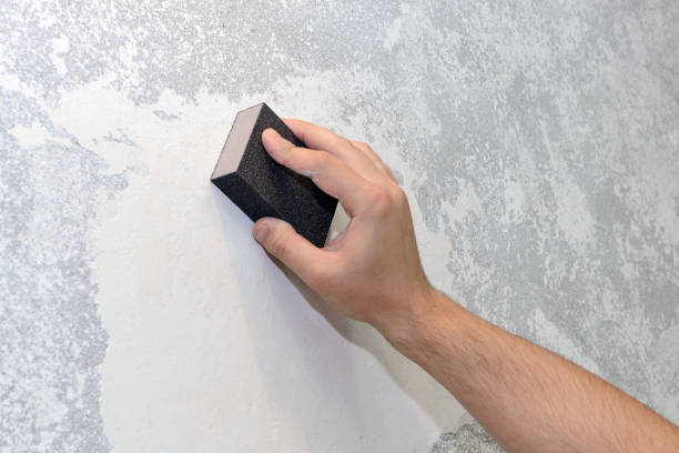 Best Water Damage & Mold Remediation  in Waimalu, HI