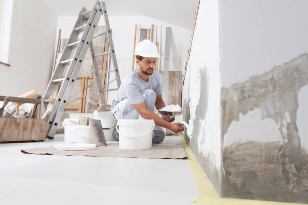 Best Mold Odor Removal Services  in Waimalu, HI
