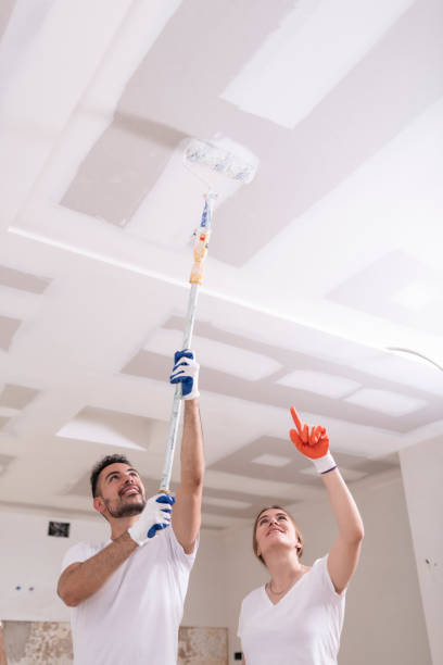 Best Dehumidification Services  in Waimalu, HI