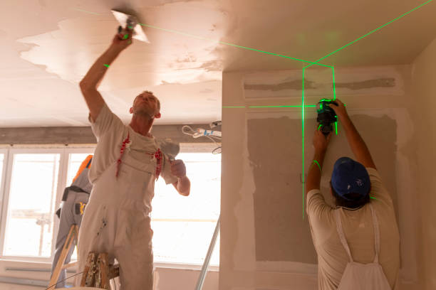 Best Mold Remediation for Healthcare Facilities  in Waimalu, HI